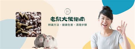 老鼠 大便|如何處理老鼠大便：清潔與滅鼠指南